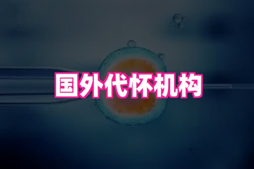江苏助孕网 1